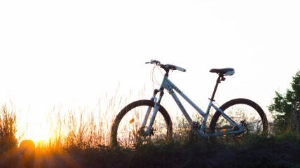 Fietstocht naar het Zoerselbos en zijn groene omgeving