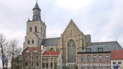 Daguitstap naar Tienen en Zoutleeuw