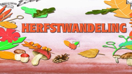 Herfstwandeling door de vallei van de meanderende Kleine Nete