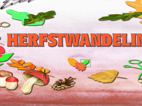 DF ActiviteitenHerfstwandeling2026.jpg